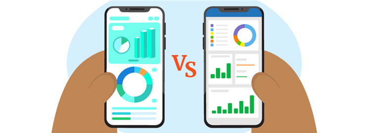 Mint vs Quicken