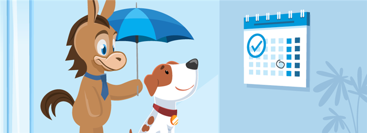 Pet Insurance With No Waiting Period