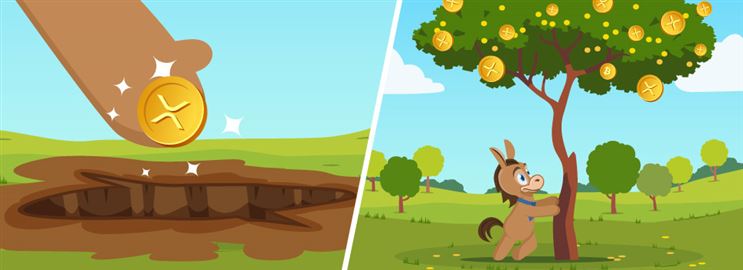 How to Invest in Ripple XRP