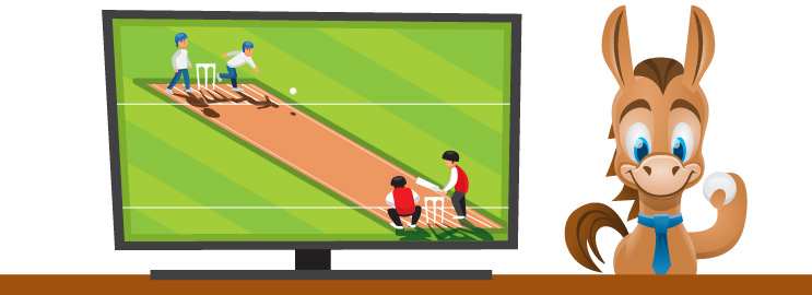 Best Ways to Watch Cricket Online in USA