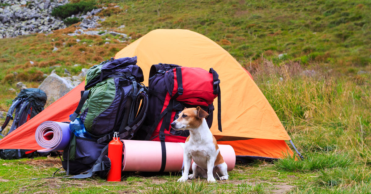 The Best Sleeping Pads of 2019 CreditDonkey The Best Sleeping Pads of 2019 CreditDonkey