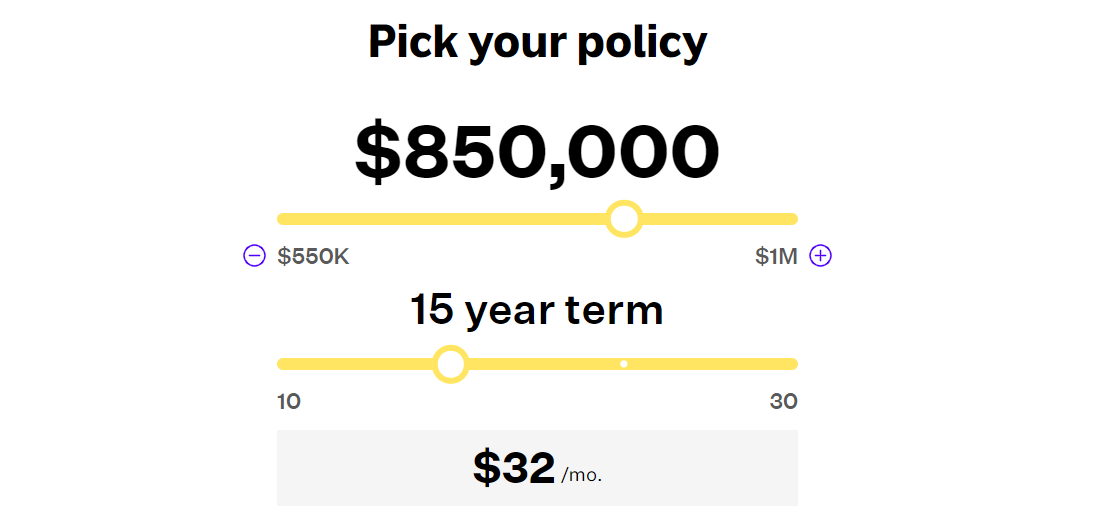Ethos Life Insurance Review 2020 Pros and Cons