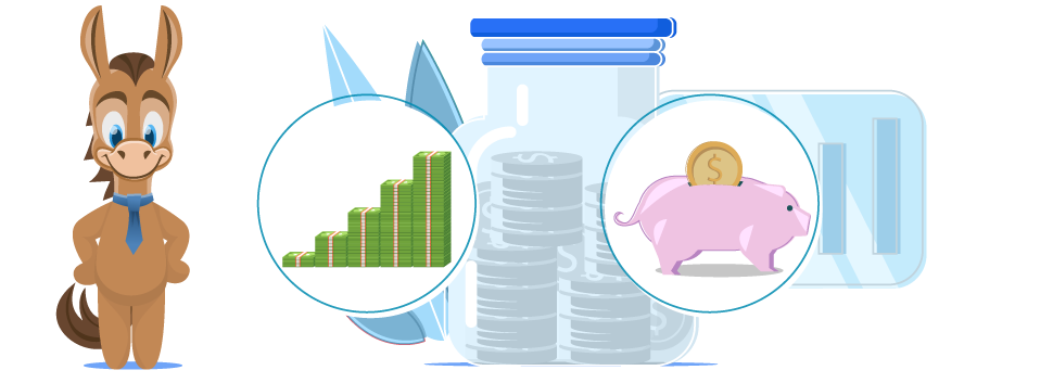 Money Market vs High Yield Savings for Emergency Fund?